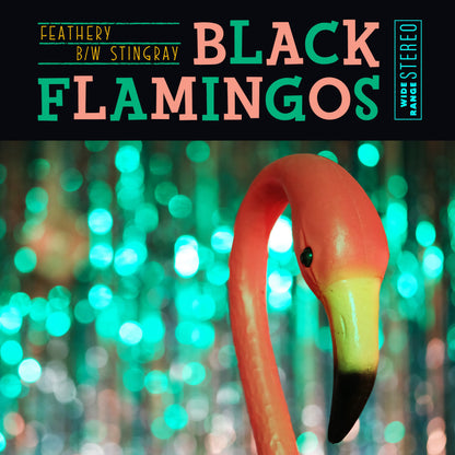 Black Flamingos "Feathery / Stingray" 45